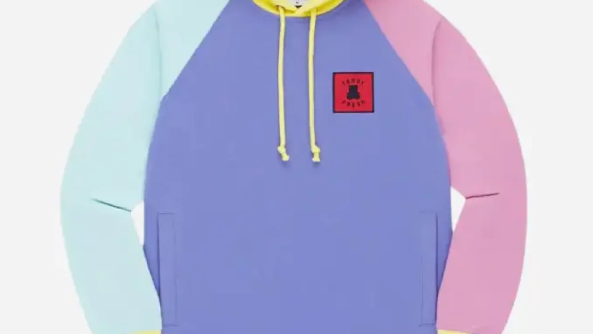 Teddy fresh block hoodie online