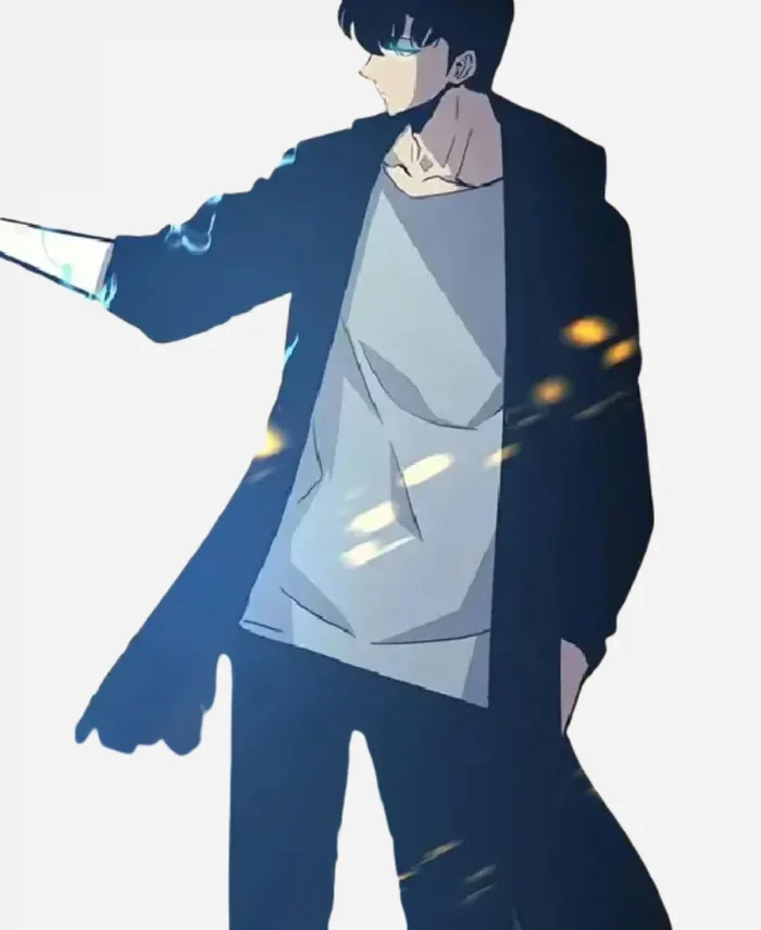 Sung Jin Woo Black Coat