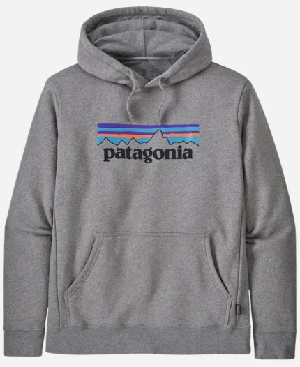 Patagonia Grey Hoodie