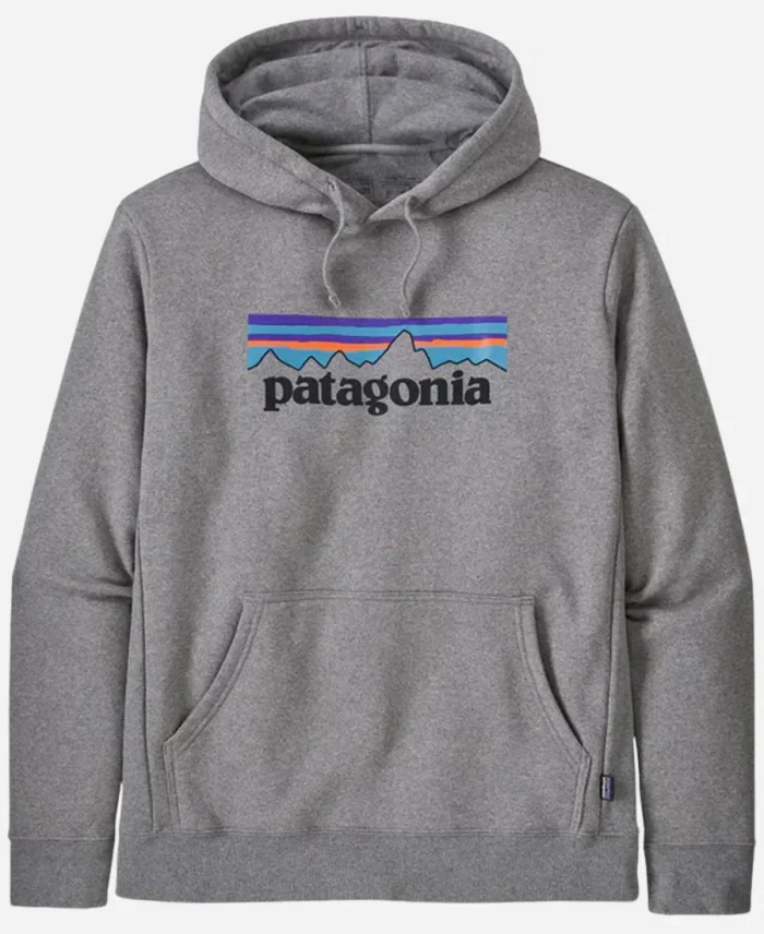 Patagonia Grey Hoodie