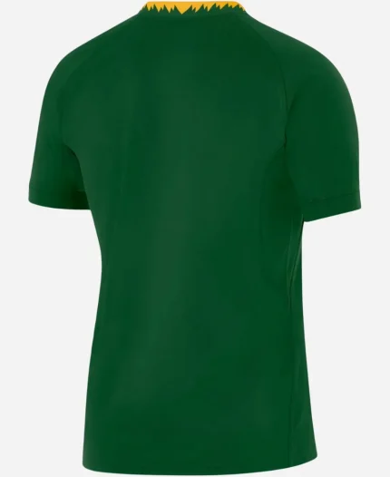 Men's Nike Springboks 2025-26 Stadium Home Green Jersey