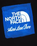 ALD x The North Face Logo Black Hoodie